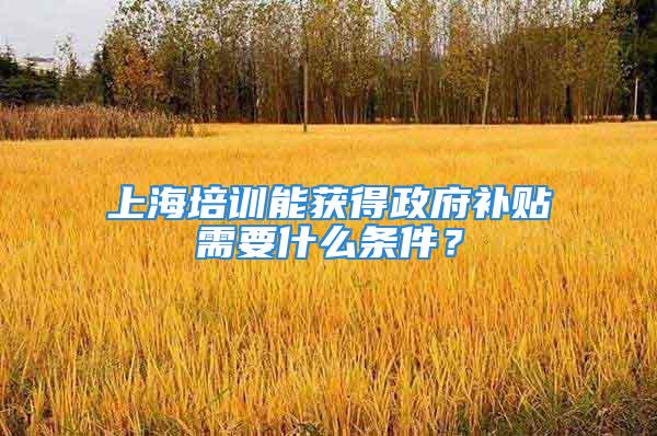 上海培訓(xùn)能獲得政府補貼需要什么條件？