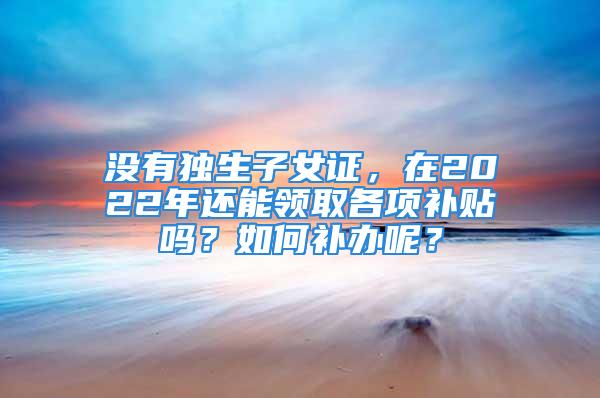 沒有獨(dú)生子女證，在2022年還能領(lǐng)取各項(xiàng)補(bǔ)貼嗎？如何補(bǔ)辦呢？