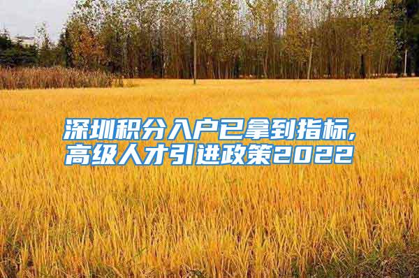 深圳積分入戶已拿到指標,高級人才引進政策2022