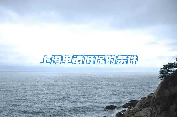 上海申請(qǐng)低保的條件