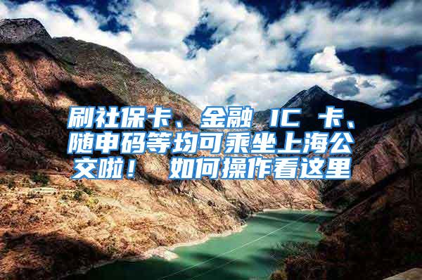 刷社?？ā⒔鹑?IC 卡、隨申碼等均可乘坐上海公交啦！ 如何操作看這里