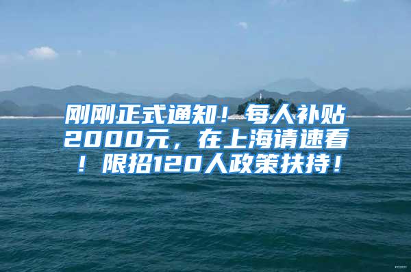 剛剛正式通知！每人補貼2000元，在上海請速看！限招120人政策扶持！