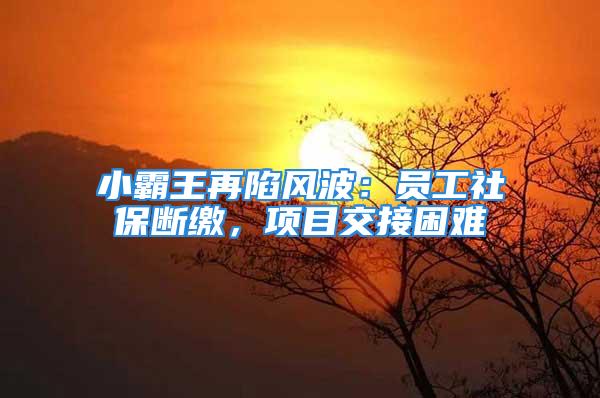 小霸王再陷風(fēng)波：?jiǎn)T工社保斷繳，項(xiàng)目交接困難