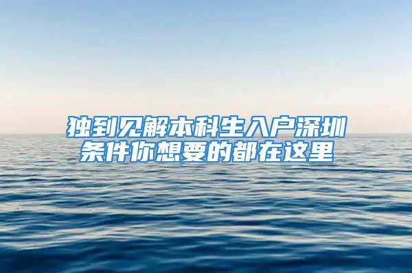 獨(dú)到見解本科生入戶深圳條件你想要的都在這里