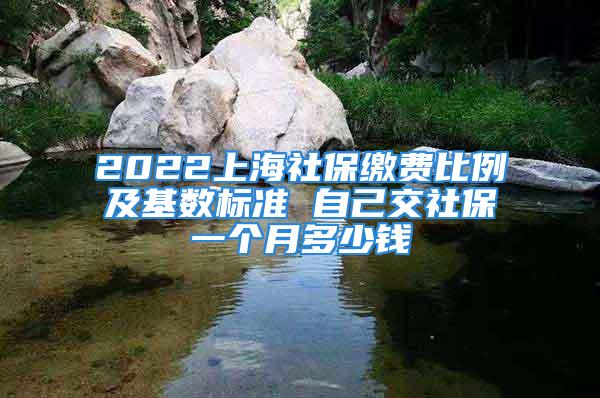 2022上海社保繳費(fèi)比例及基數(shù)標(biāo)準(zhǔn) 自己交社保一個(gè)月多少錢