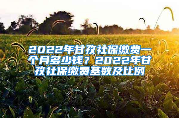 2022年甘孜社保繳費一個月多少錢？2022年甘孜社保繳費基數(shù)及比例