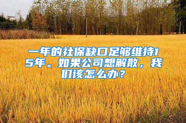 一年的社保缺口足夠維持15年。如果公司想解散，我們?cè)撛趺崔k？