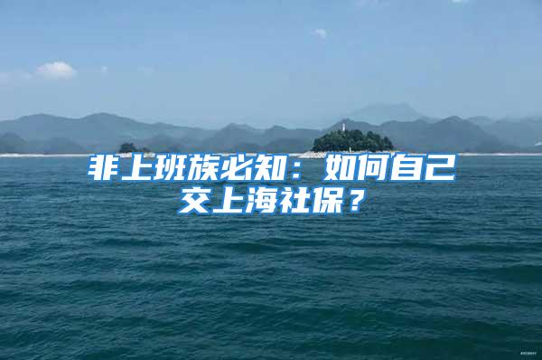 非上班族必知：如何自己交上海社保？