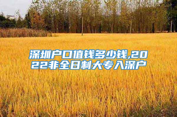 深圳戶口值錢(qián)多少錢(qián),2022非全日制大專(zhuān)入深戶