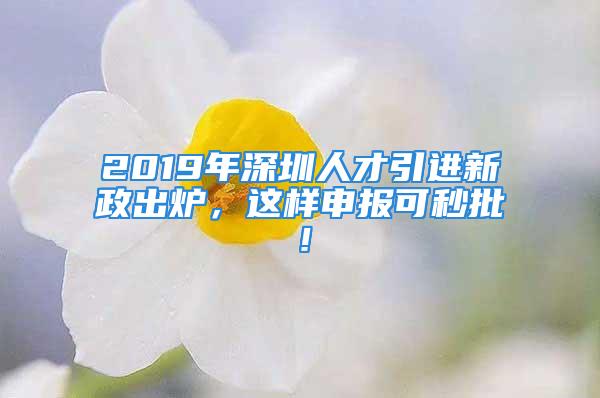 2019年深圳人才引進(jìn)新政出爐，這樣申報(bào)可秒批！