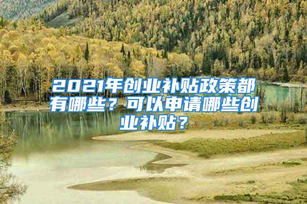 2021年創(chuàng)業(yè)補貼政策都有哪些？可以申請哪些創(chuàng)業(yè)補貼？