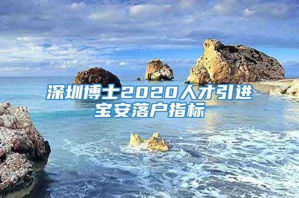 深圳博士2020人才引進(jìn)寶安落戶指標(biāo)