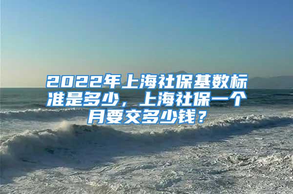 2022年上海社?；鶖?shù)標(biāo)準(zhǔn)是多少，上海社保一個月要交多少錢？