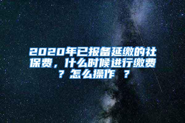 2020年已報(bào)備延繳的社保費(fèi)，什么時(shí)候進(jìn)行繳費(fèi)？怎么操作 ？