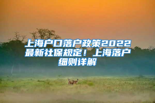 上海戶口落戶政策2022最新社保規(guī)定！上海落戶細(xì)則詳解