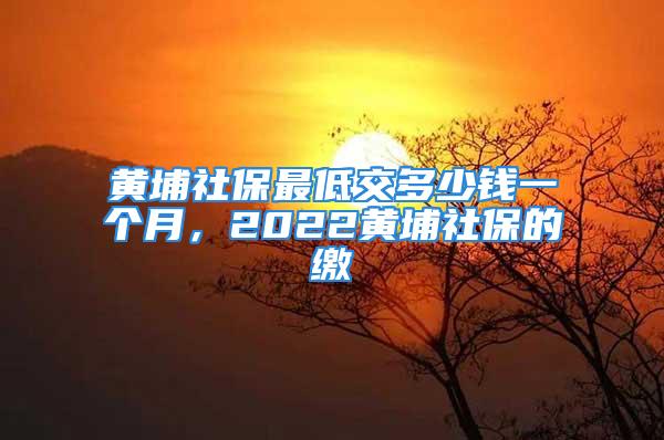 黃埔社保最低交多少錢一個月，2022黃埔社保的繳