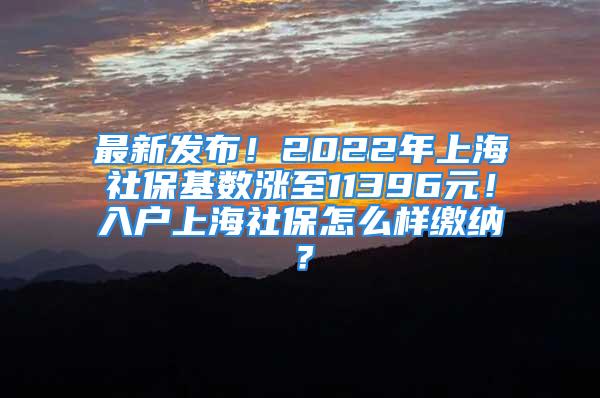 最新發(fā)布！2022年上海社?；鶖?shù)漲至11396元！入戶上海社保怎么樣繳納？