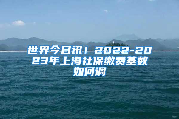 世界今日訊！2022-2023年上海社保繳費(fèi)基數(shù)如何調(diào)