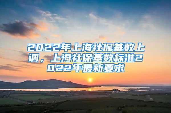 2022年上海社保基數(shù)上調(diào)，上海社?；鶖?shù)標(biāo)準(zhǔn)2022年最新要求