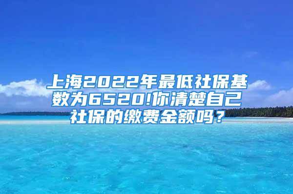 上海2022年最低社保基數(shù)為6520!你清楚自己社保的繳費金額嗎？