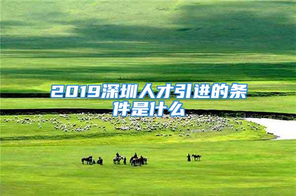 2019深圳人才引進(jìn)的條件是什么