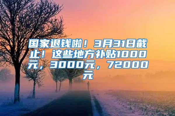 國家退錢啦！3月31日截止！這些地方補貼1000元，3000元，72000元