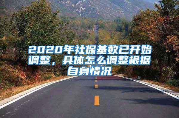 2020年社?；鶖?shù)已開始調(diào)整，具體怎么調(diào)整根據(jù)自身情況