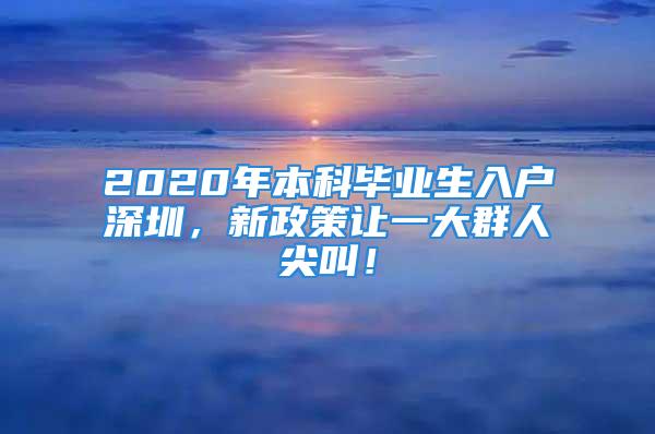 2020年本科畢業(yè)生入戶深圳，新政策讓一大群人尖叫！