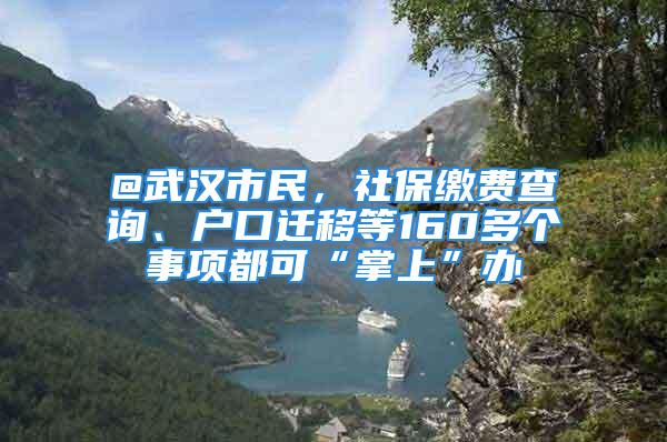 @武漢市民，社保繳費查詢、戶口遷移等160多個事項都可“掌上”辦