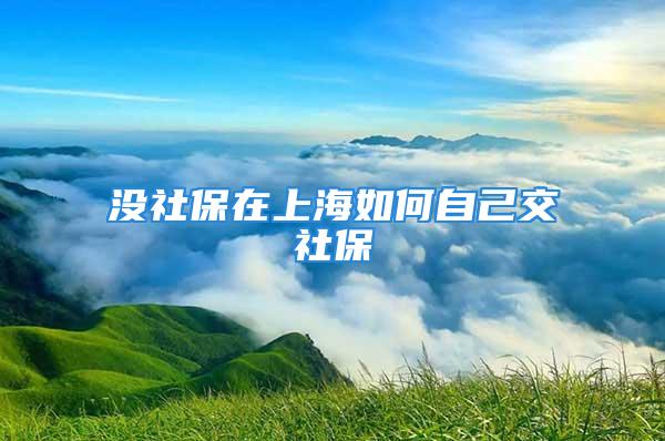 沒(méi)社保在上海如何自己交社保