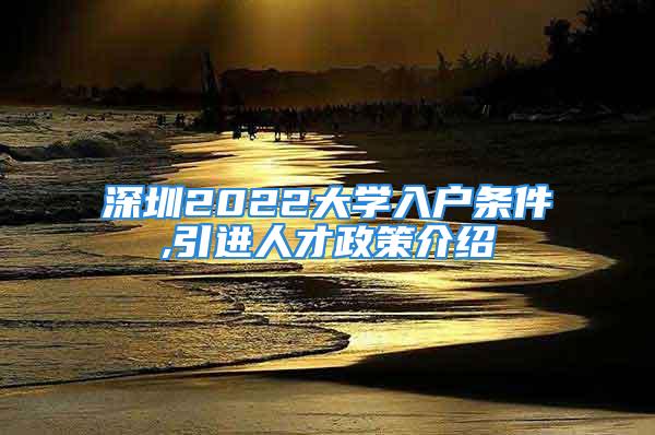 深圳2022大學(xué)入戶條件,引進(jìn)人才政策介紹