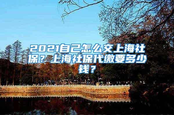 2021自己怎么交上海社保？上海社保代繳要多少錢？