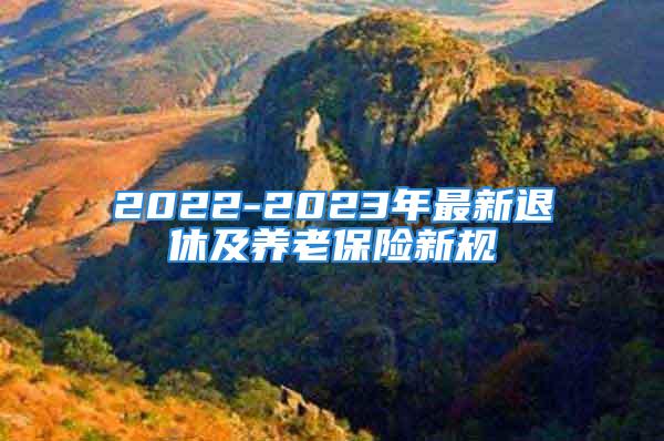 2022-2023年最新退休及養(yǎng)老保險新規(guī)