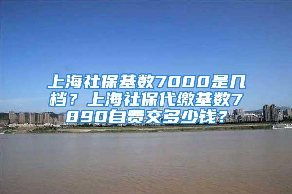 上海社?；鶖?shù)7000是幾檔？上海社保代繳基數(shù)7890自費(fèi)交多少錢？