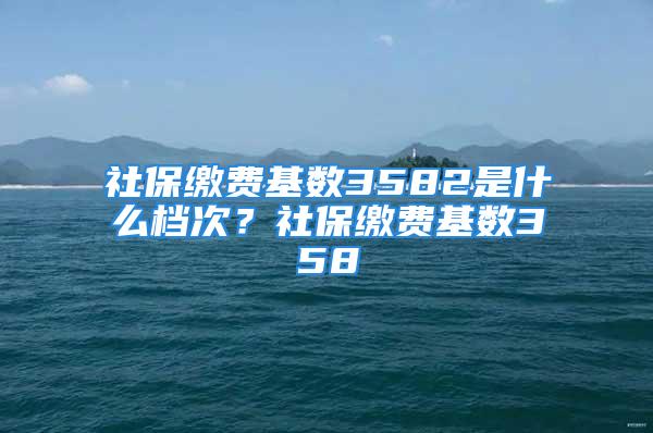 社保繳費(fèi)基數(shù)3582是什么檔次？社保繳費(fèi)基數(shù)358