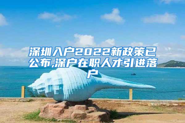 深圳入戶2022新政策已公布,深戶在職人才引進(jìn)落戶