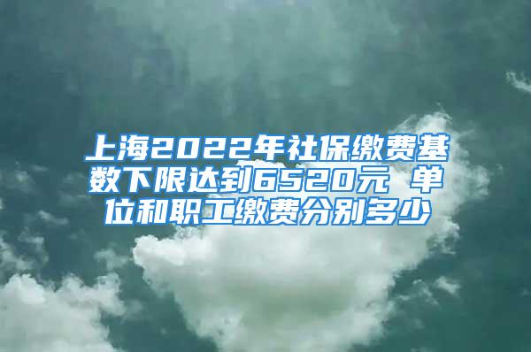 上海2022年社保繳費基數(shù)下限達到6520元 單位和職工繳費分別多少