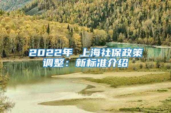 2022年 上海社保政策調(diào)整：新標(biāo)準(zhǔn)介紹