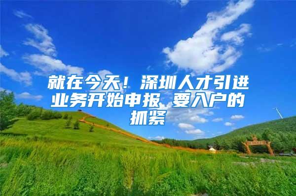 就在今天！深圳人才引進業(yè)務開始申報 要入戶的抓緊