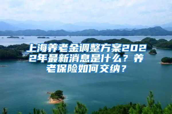 上海養(yǎng)老金調(diào)整方案2022年最新消息是什么？養(yǎng)老保險(xiǎn)如何交納？