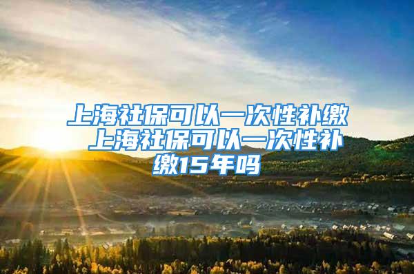 上海社?？梢砸淮涡匝a繳 上海社保可以一次性補繳15年嗎