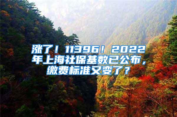 漲了！11396！2022年上海社保基數(shù)已公布，繳費(fèi)標(biāo)準(zhǔn)又變了？