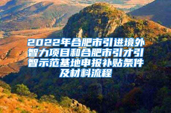 2022年合肥市引進(jìn)境外智力項(xiàng)目和合肥市引才引智示范基地申報(bào)補(bǔ)貼條件及材料流程