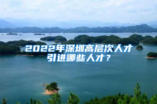 2022年深圳高層次人才引進哪些人才？