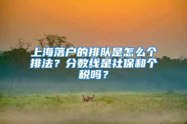 上海落戶的排隊(duì)是怎么個排法？分?jǐn)?shù)線是社保和個稅嗎？