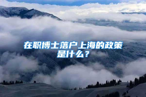 在職博士落戶上海的政策是什么？