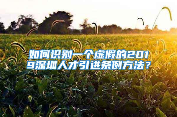 如何識別一個虛假的2019深圳人才引進條例方法？