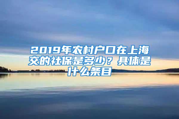 2019年農(nóng)村戶口在上海交的社保是多少？具體是什么條目