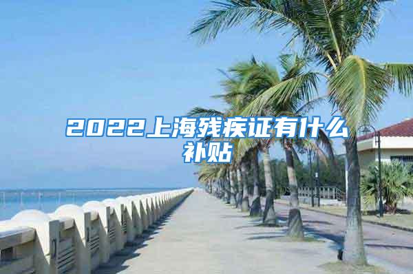 2022上海殘疾證有什么補貼