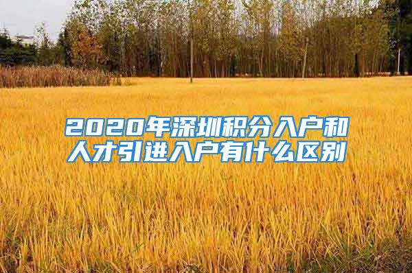 2020年深圳積分入戶和人才引進(jìn)入戶有什么區(qū)別